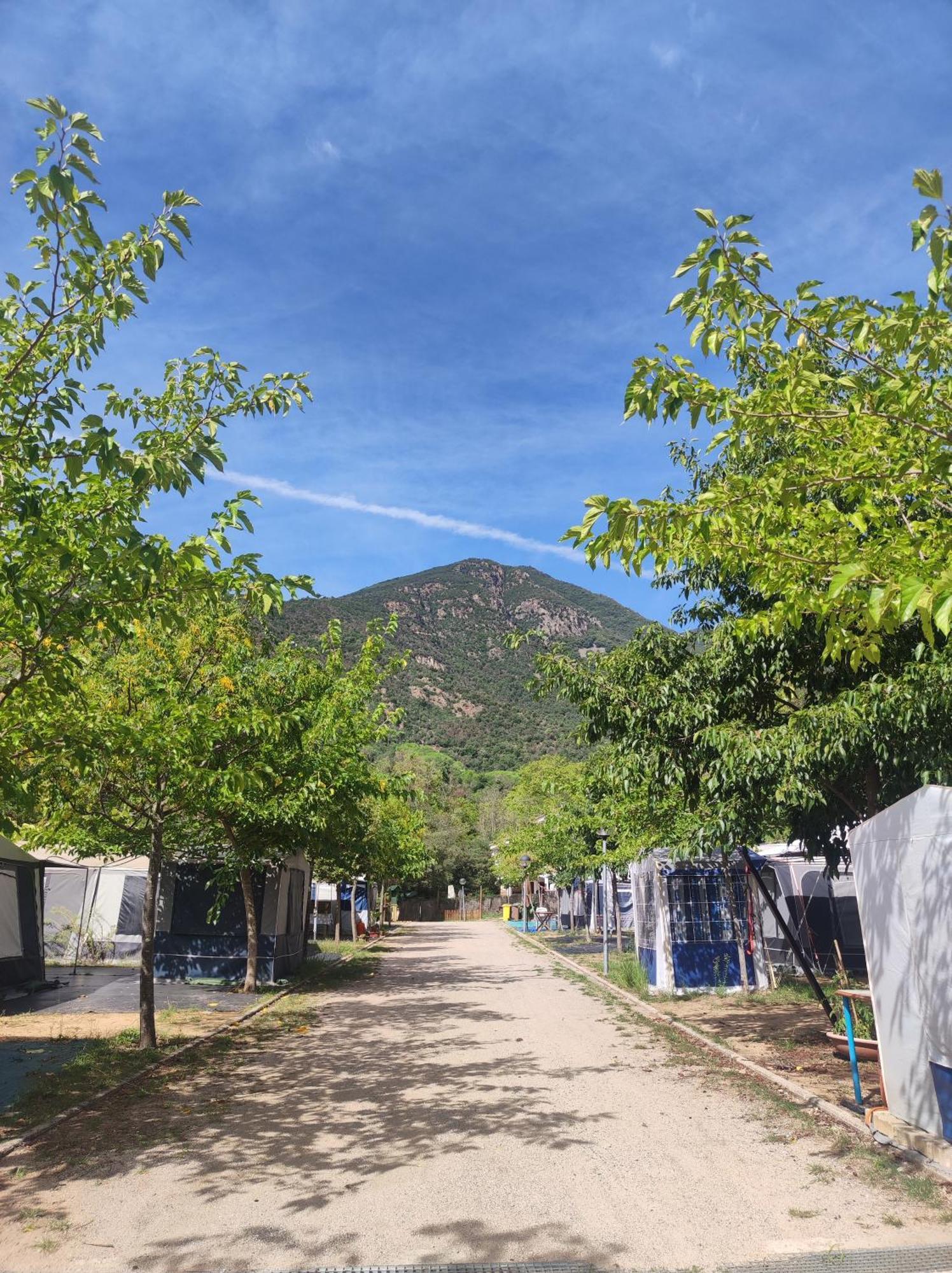 Camping Parc Gualba Gualba de Dalt Dış mekan fotoğraf