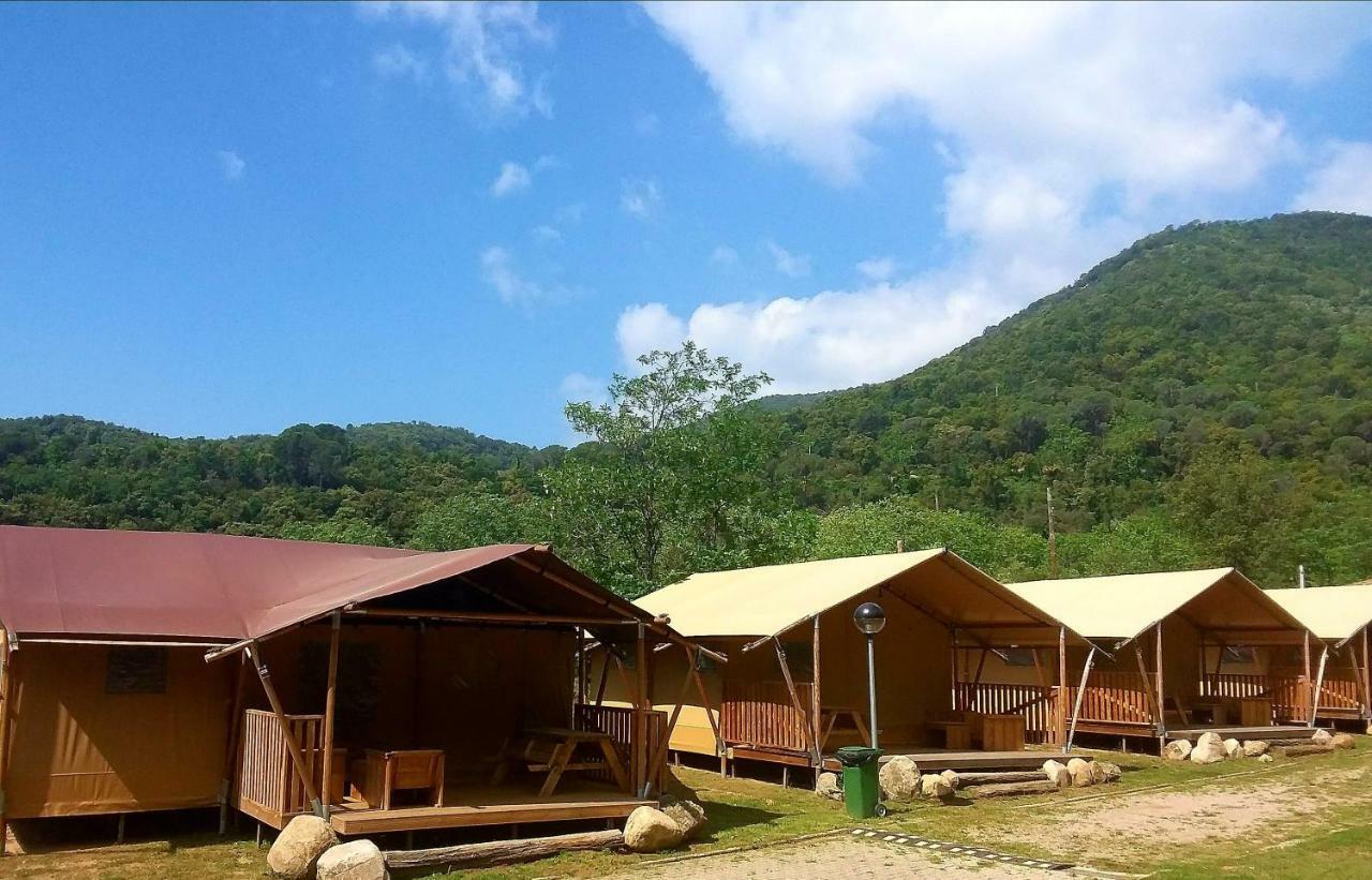 Camping Parc Gualba Gualba de Dalt Dış mekan fotoğraf
