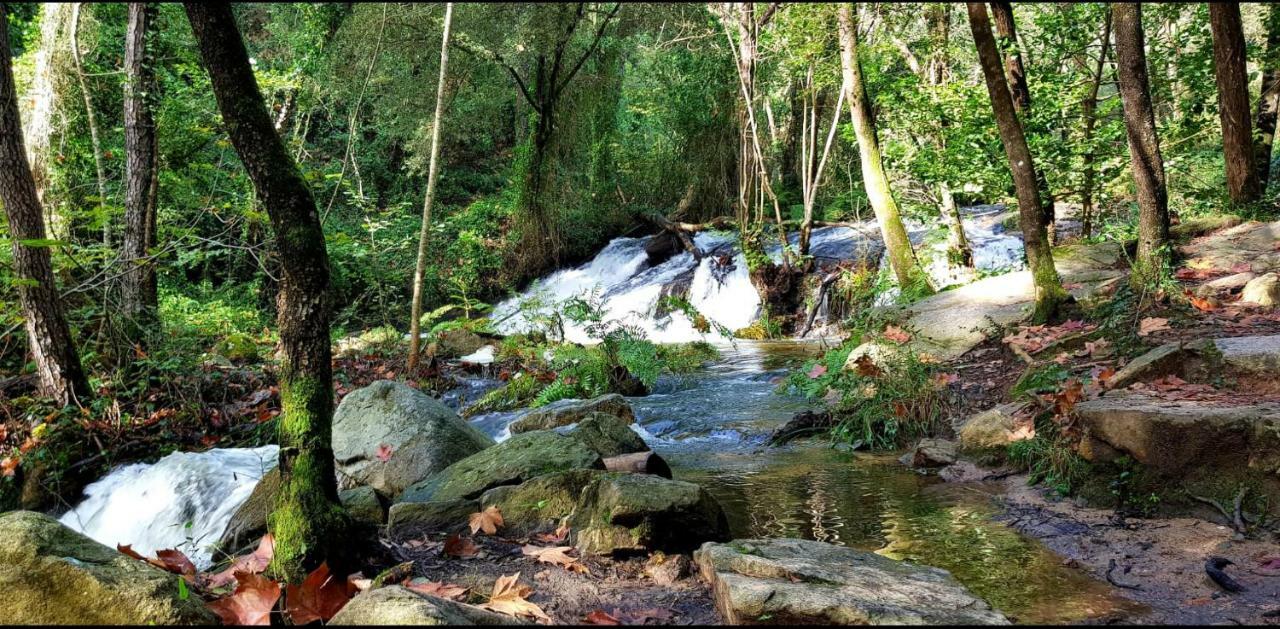 Camping Parc Gualba Gualba de Dalt Dış mekan fotoğraf