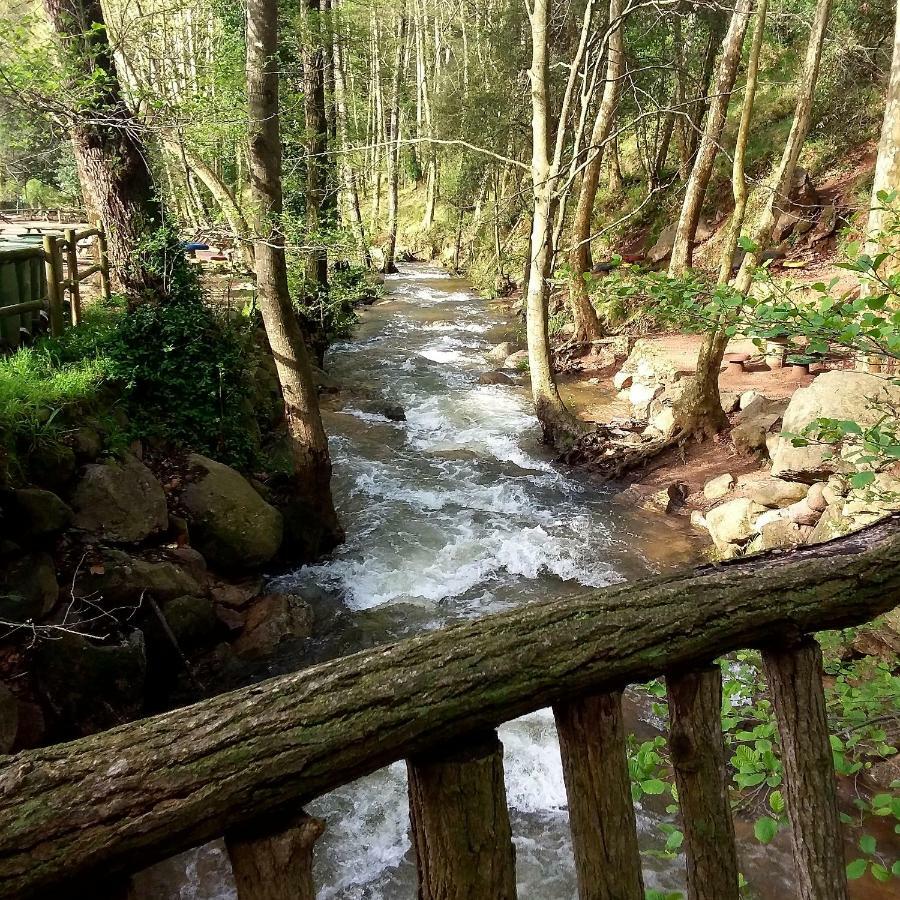 Camping Parc Gualba Gualba de Dalt Dış mekan fotoğraf