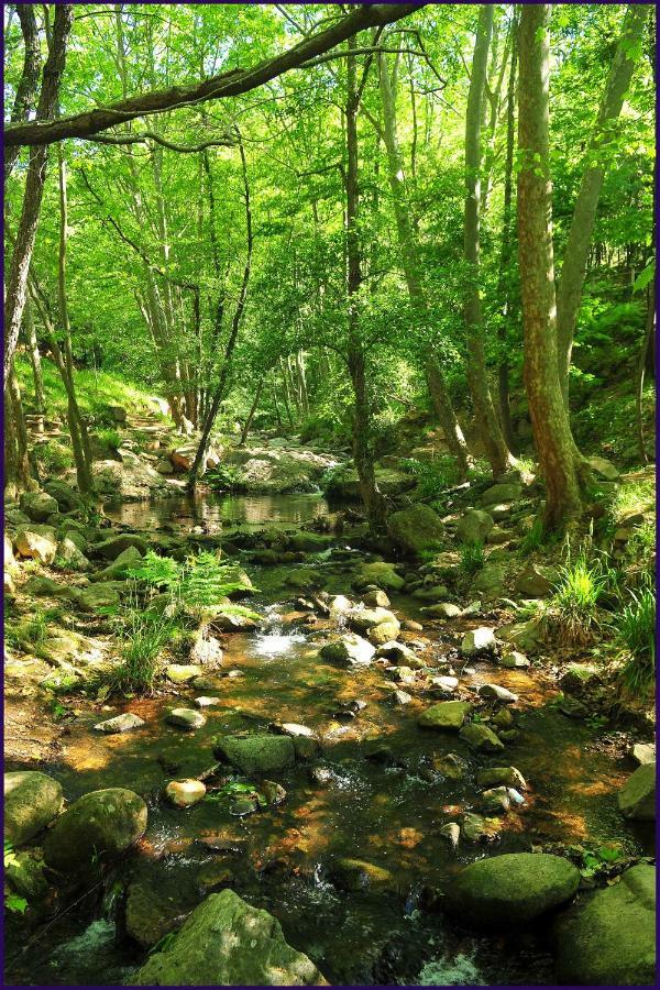 Camping Parc Gualba Gualba de Dalt Dış mekan fotoğraf
